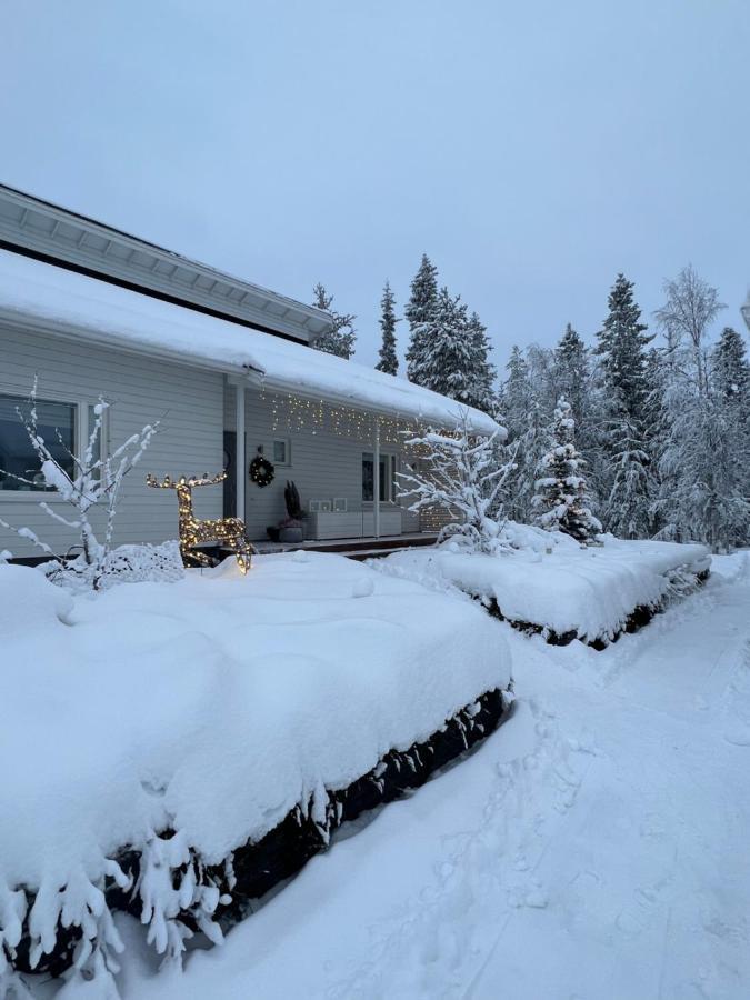 Arctic Circle For Winter Villa *