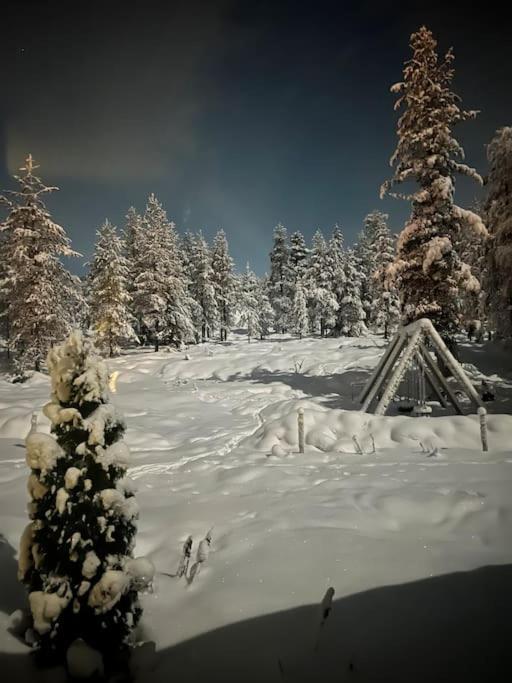 Arctic Circle For Winter * Rovaniemi